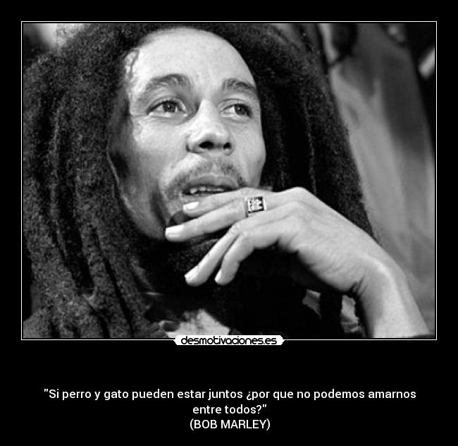            - Si perro y gato pueden estar juntos ¿por que no podemos amarnos entre todos?
(BOB MARLEY)