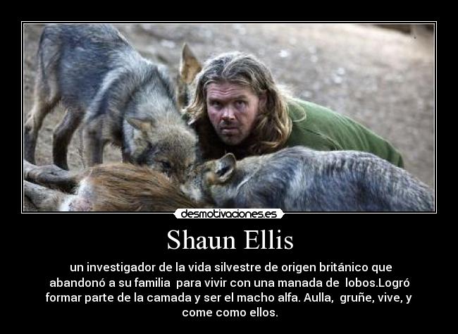 Shaun Ellis -  un investigador de la vida silvestre de origen británico que
abandonó a su familia  para vivir con una manada de  lobos.Logró
formar parte de la camada y ser el macho alfa. Aulla,  gruñe, vive, y
come como ellos.