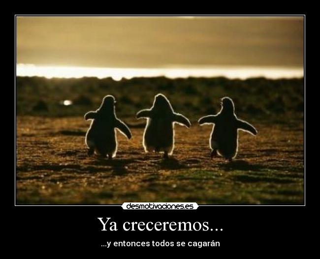 Ya creceremos... - 