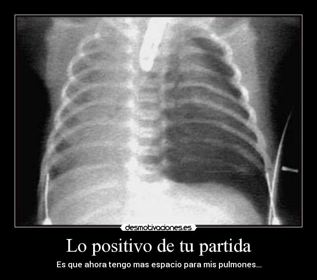 carteles wwwdesmotivacioneses desmotivaciones