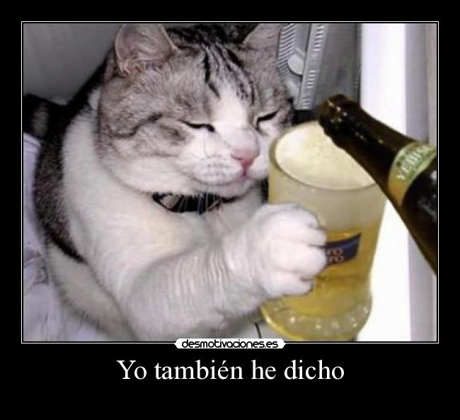 Yo también he dicho - 