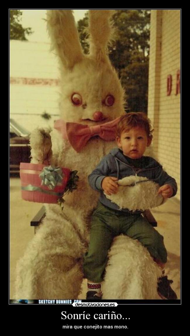 carteles conejo desmotivaciones