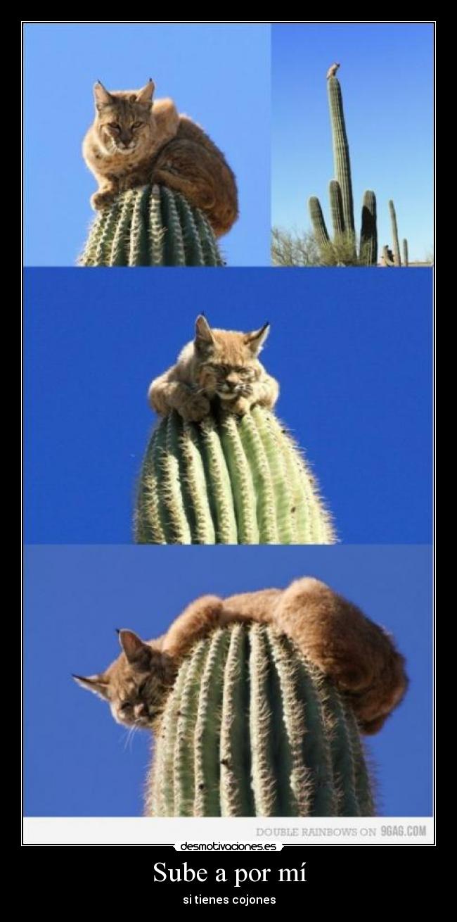 Sube a por mí - 