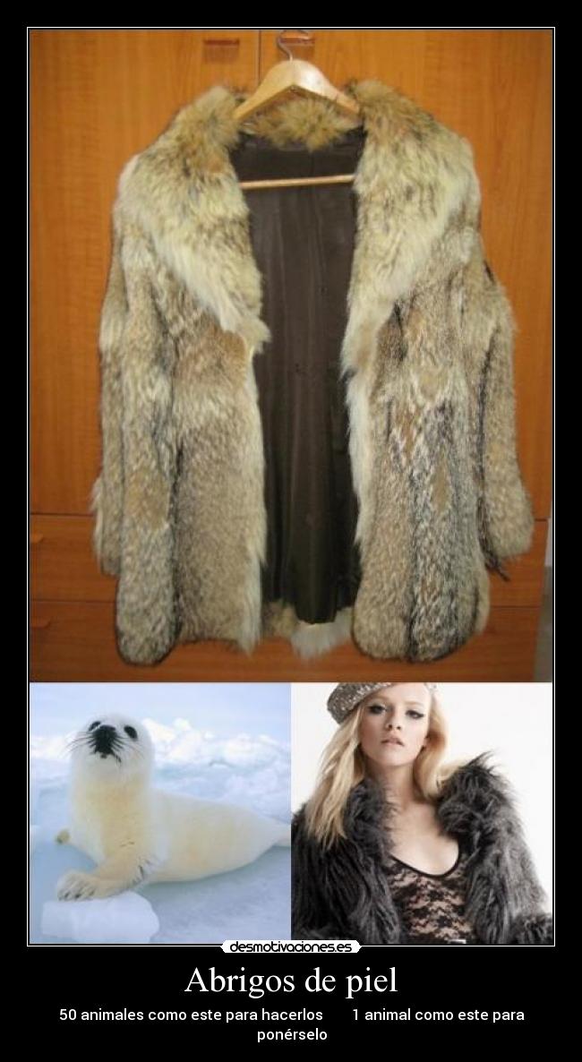 Abrigos de piel - 