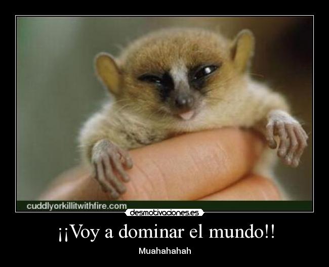 ¡¡Voy a dominar el mundo!! - Muahahahah