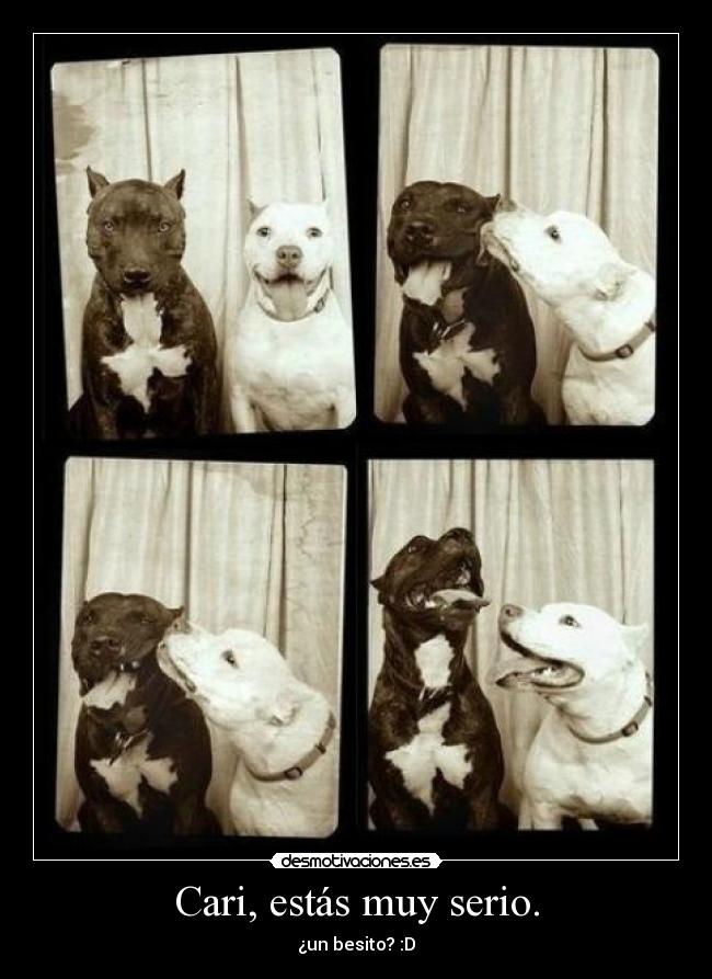 Cari, estás muy serio. - 
