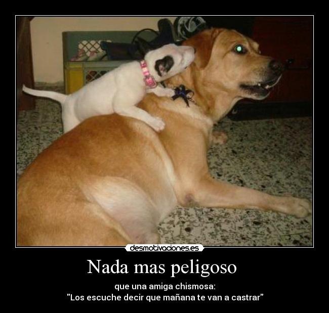 Nada mas peligoso  - 