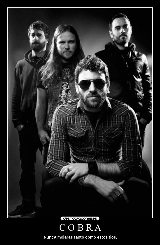 carteles cobra desmotivaciones