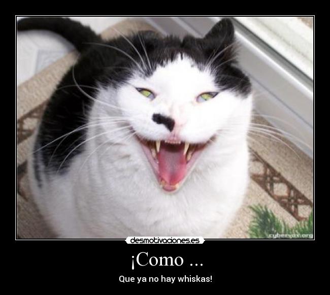 ¡Como ... - Que ya no hay whiskas!