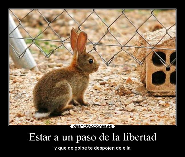 Estar a un paso de la libertad - 