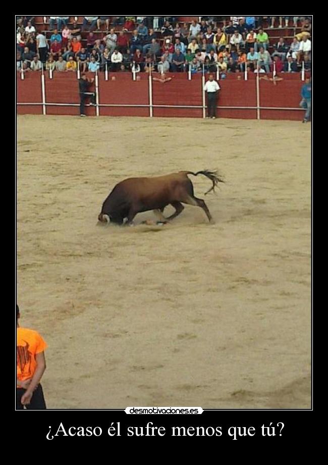 ¿Acaso él sufre menos que tú? - 