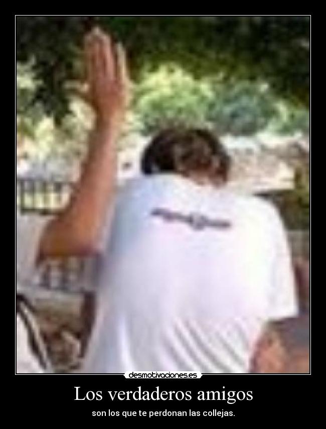 Los verdaderos amigos - son los que te perdonan las collejas.