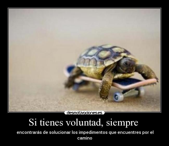 Si tienes voluntad, siempre  - 