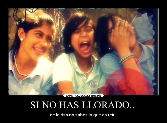SI NO HAS LLORADO.. - de la risa no sabes lo que es reir .