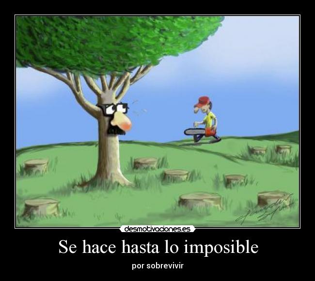 Se hace hasta lo imposible - 