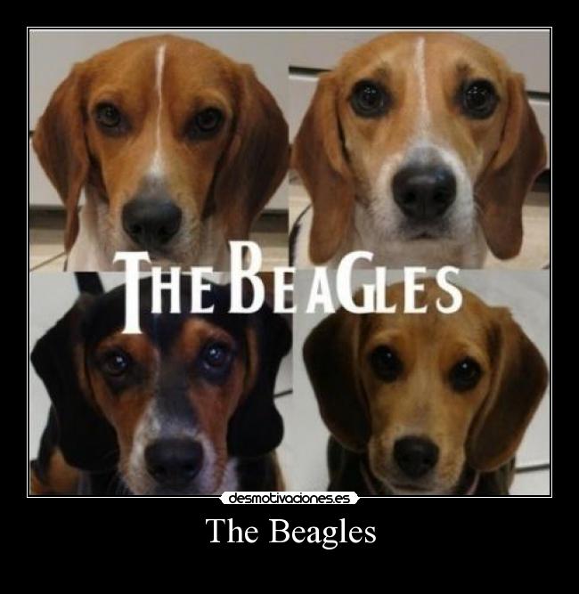 The Beagles -