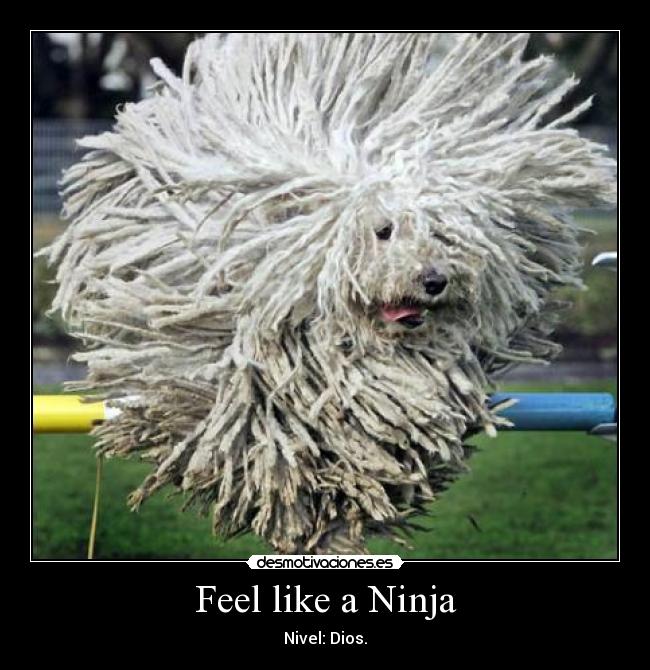 Feel like a Ninja - Nivel: Dios.