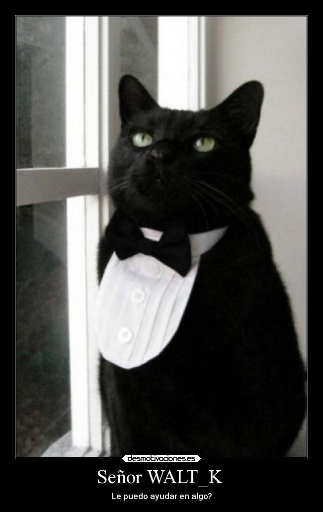 Señor WALT_K  - Le puedo ayudar en algo?