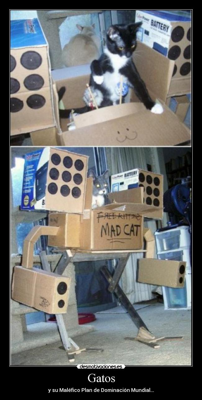 Gatos - y su Maléfico Plan de Dominación Mundial...