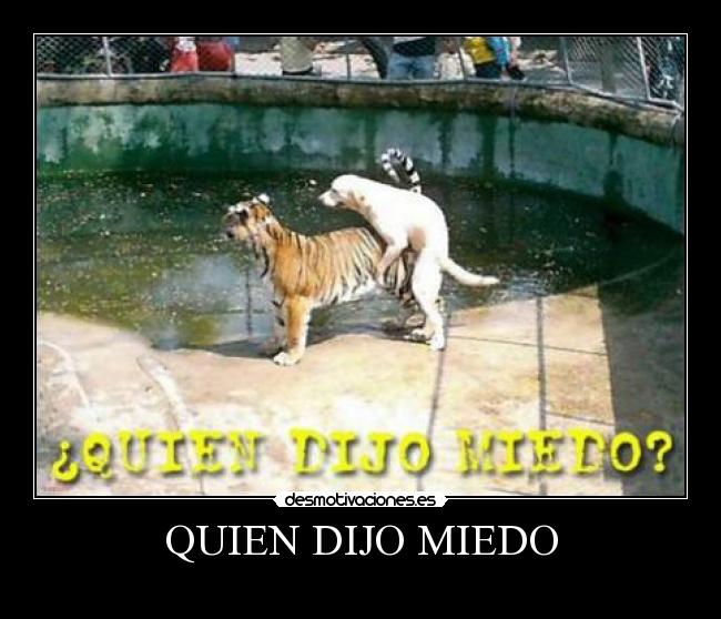 carteles miedo miedo desmotivaciones