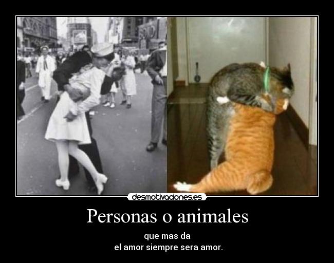 Personas o animales - 