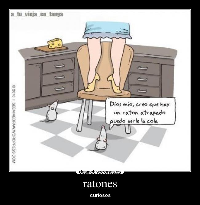 ratones -