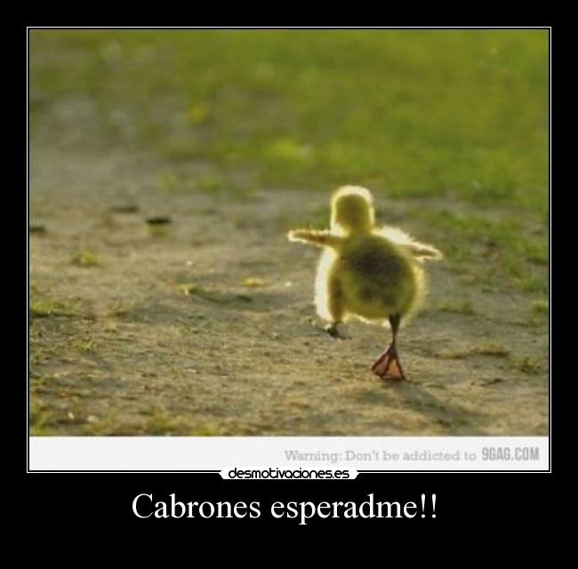 Cabrones esperadme!!  - 