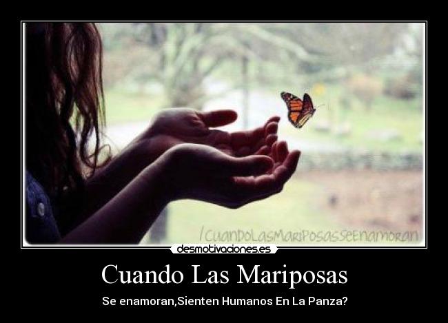 Cuando Las Mariposas - Se enamoran,Sienten Humanos En La Panza?