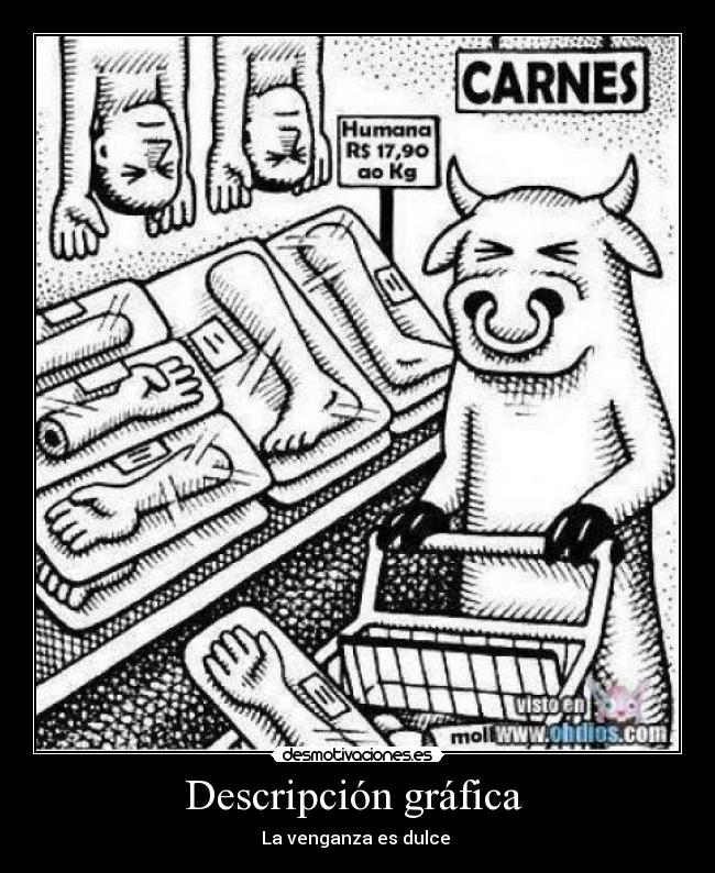 Descripción gráfica -