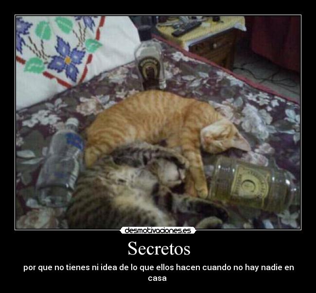 Secretos -