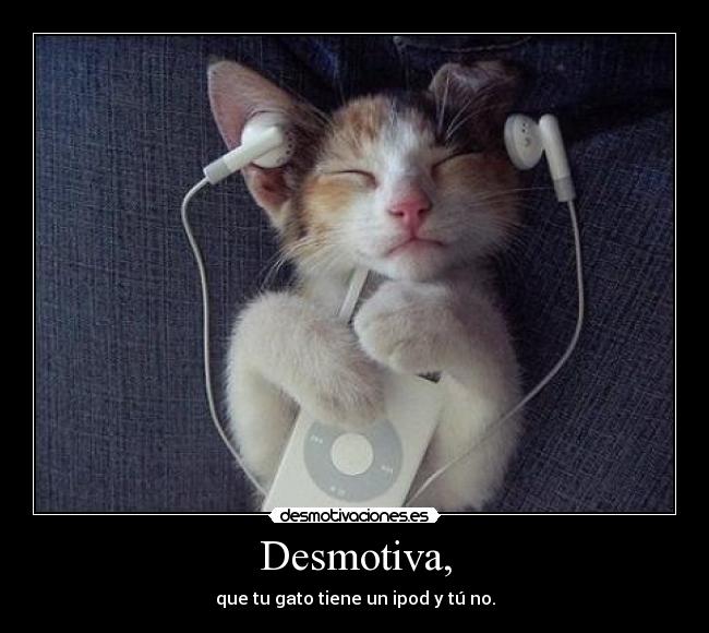 carteles jaja desmotivaciones