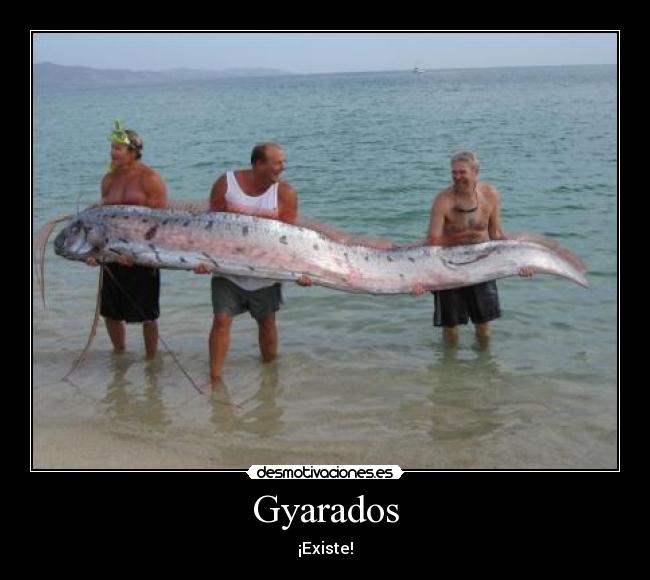 Gyarados - ¡Existe!