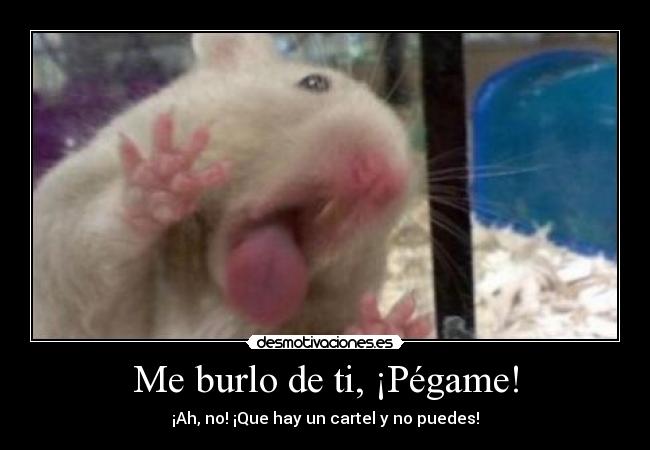 Me burlo de ti, ¡Pégame! - ¡Ah, no! ¡Que hay un cartel y no puedes!