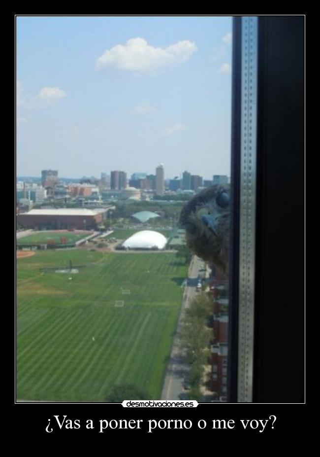 ¿Vas a poner porno o me voy? -