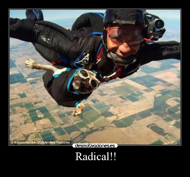 Radical!! -