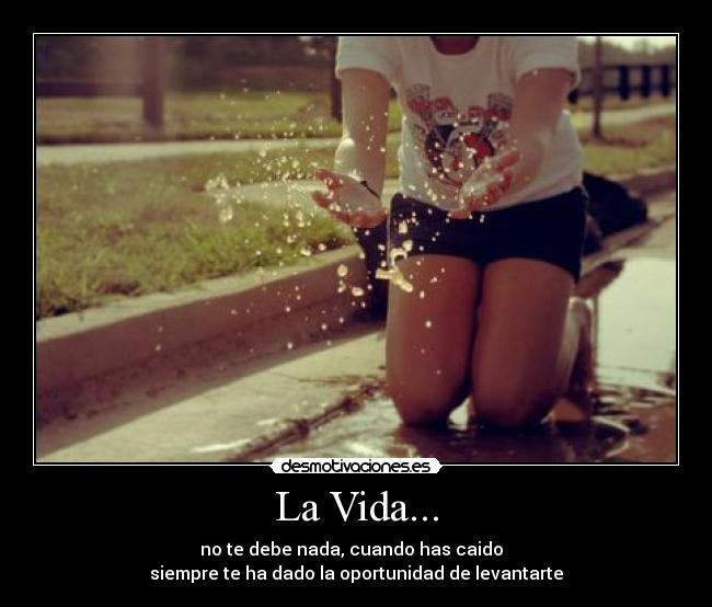 La Vida... - 