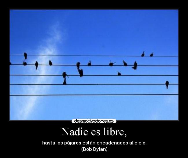 Nadie es libre, - hasta los pájaros están encadenados al cielo.
(Bob Dylan)