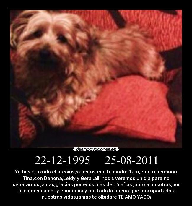 22-12-1995 25-08-2011 -