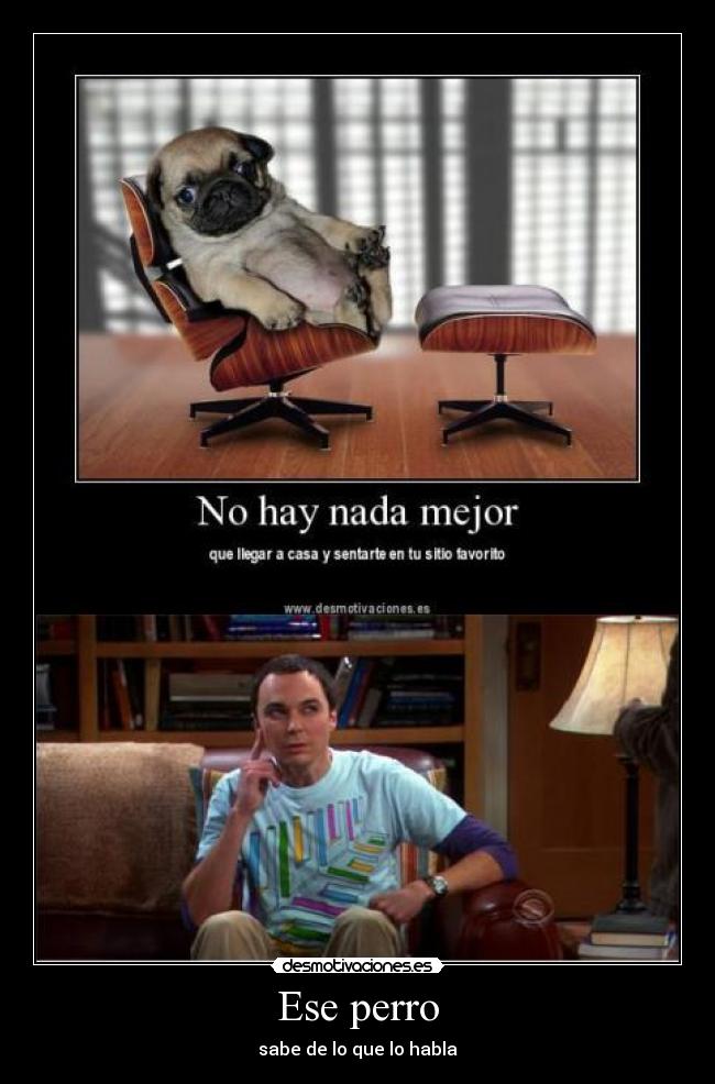Ese perro - sabe de lo que lo habla