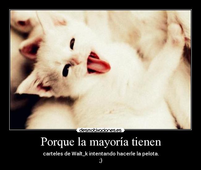 carteles gatoooo choni desmotivaciones