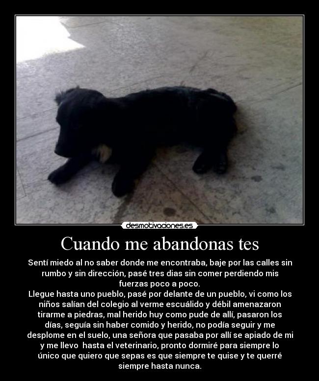 carteles perro abandonado desmotivaciones