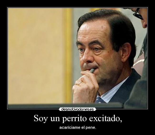 Soy un perrito excitado, - 