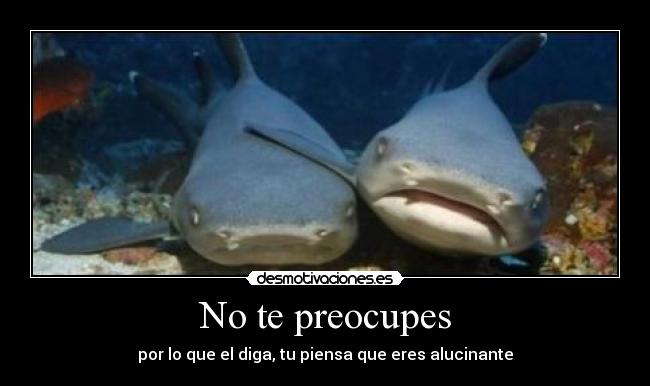 No te preocupes - 