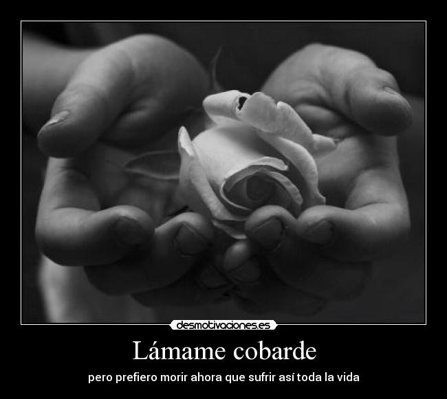 Lámame cobarde - pero prefiero morir ahora que sufrir así toda la vida