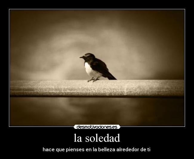 la soledad - hace que pienses en la belleza alrededor de ti