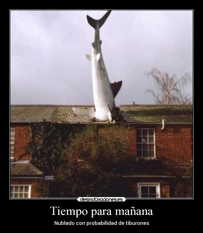 Tiempo para mañana - Nublado con probabilidad de tiburones