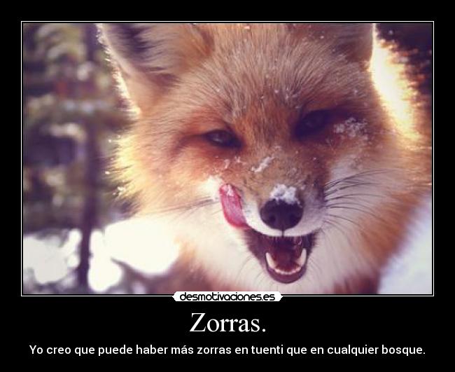 Zorras. -