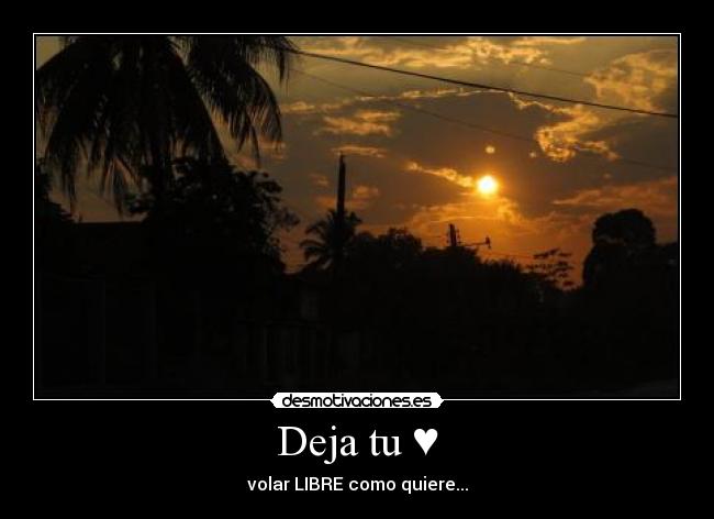 Deja tu ♥ - volar LIBRE como quiere...