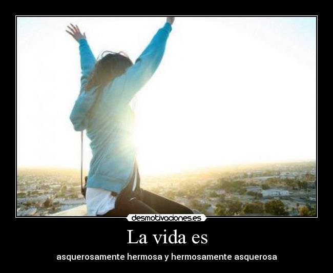 La vida es - 
