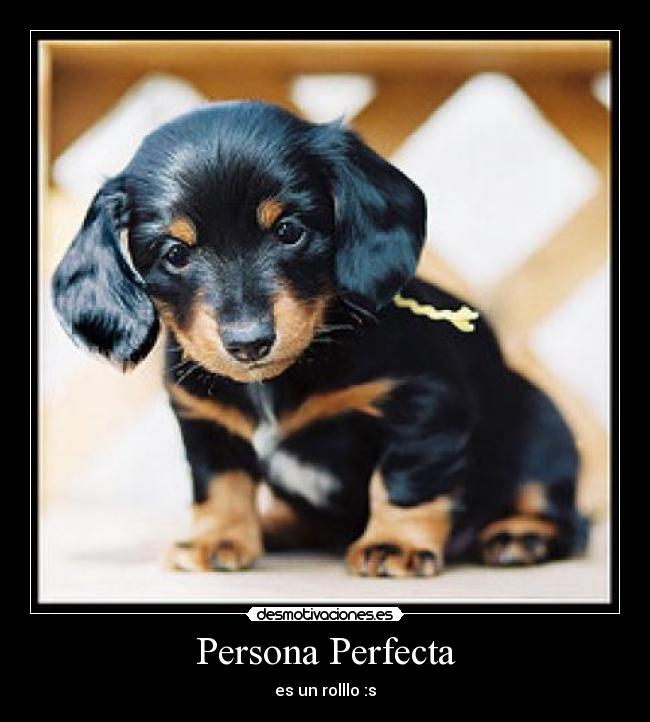 Persona Perfecta - es un rolllo :s